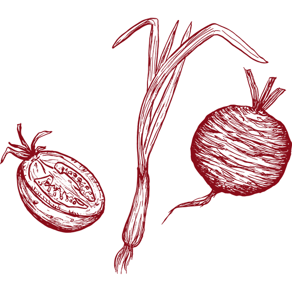 Illustration of tomato, green onion, and radish