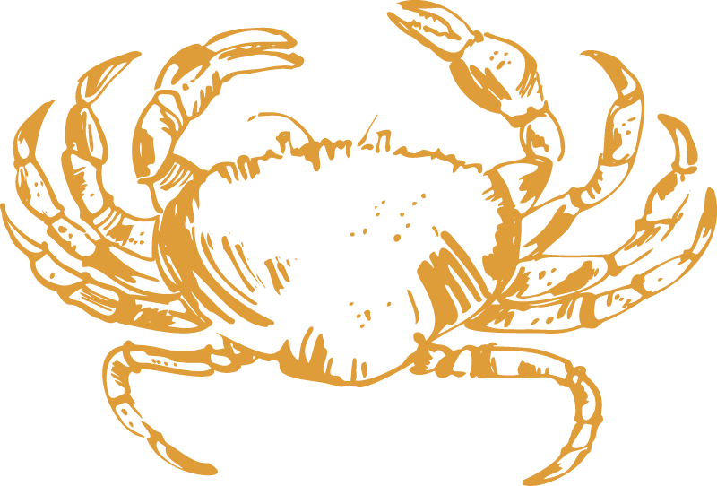 Illustration of crab